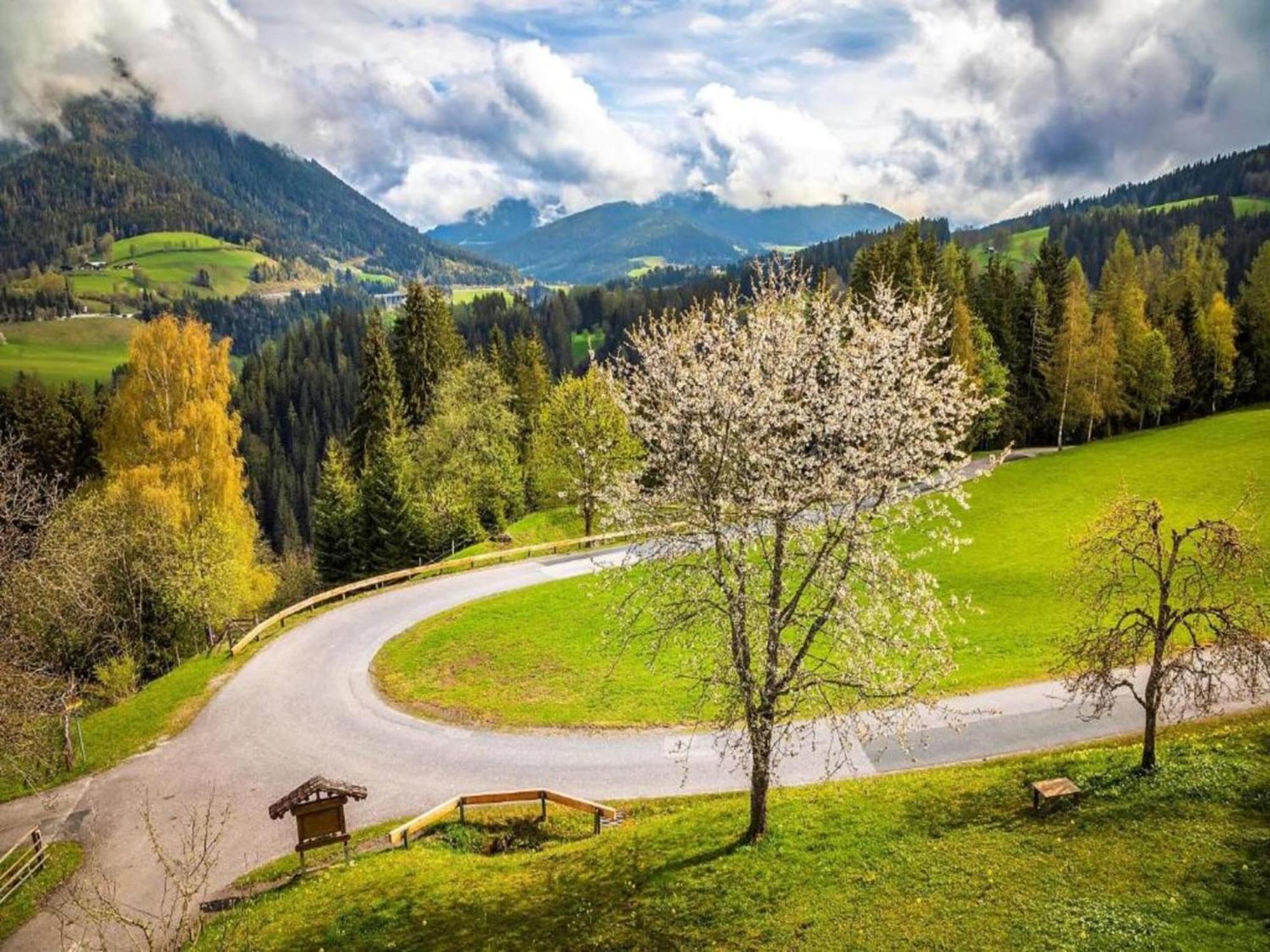 Apartment In Altenmarkt In Pongau Near Ski Area *